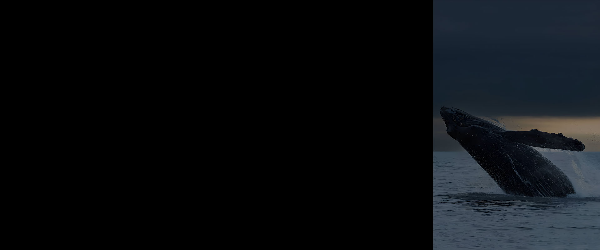 加密社群